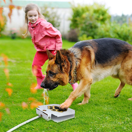 Bebedouro Brinquedo Interativo para Cães de Metal – Água Fresca ao Acionar a Pata | ForPatas