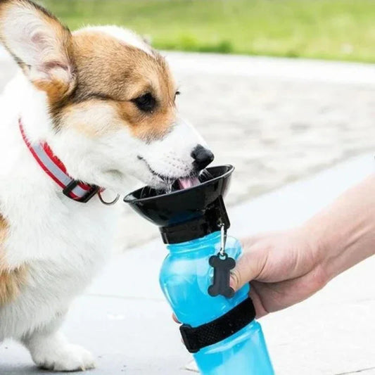 Garrafa Portátil Copinho Pet 500ml para Passeios e Viagens – Lupzy™ | Hidratação Fácil Sem Vazamentos
