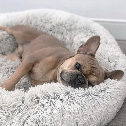 Cama Anti Ansiedade para Cachorro e Gato RelaxPet Barkify